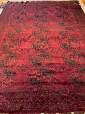 11’10” x 8’8” Afghanistan Ersari Main Rug