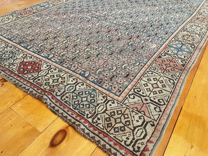 3'8" X 5'1" Rare Shirvan Boteh Rug