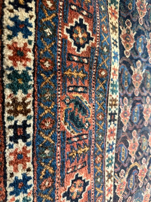9'5" X 3'3" Afshar Fish and Boteh Rug