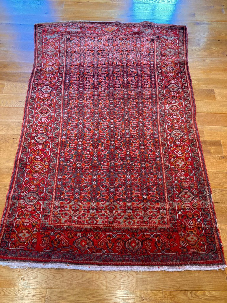 4&#39;6&quot; X 7&#39;5&quot; Antique Fine Persian Senneh Herati Carpet