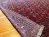 8' X 6'3" Antique Tekke Turkoman Main Carpet