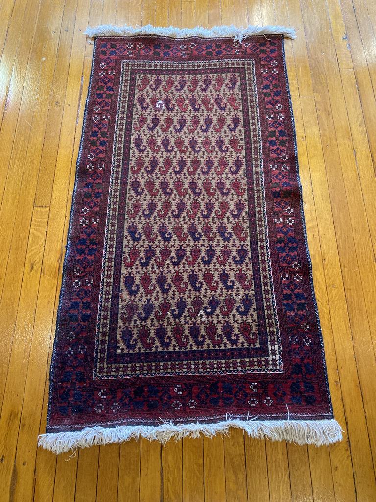 5'6" X 2'11" Camel Hair Persian Baluch Rug