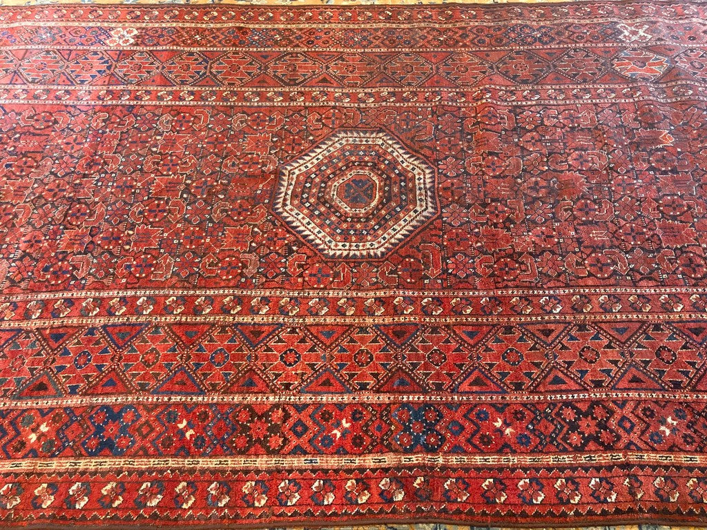 16&#39;9&quot; X 7&#39;5&quot; Ersari Bashir Long Rug [103]