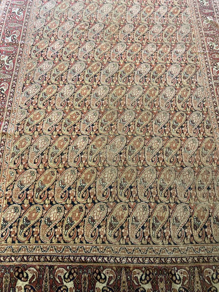 Finest Collectible Antique Mashad Rugs | Rugs - The Antique Knot