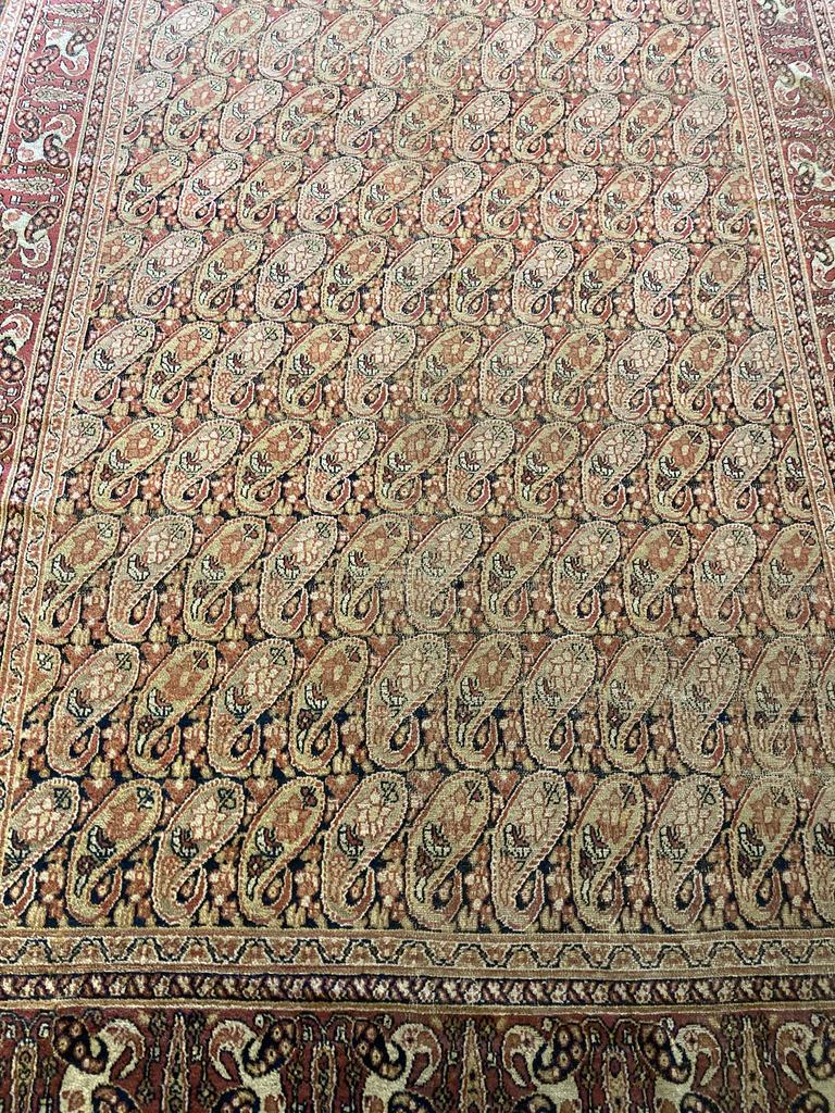 Tribal Carpets | Ersari Main Carpets | Ensi Main Carpets | Persian 