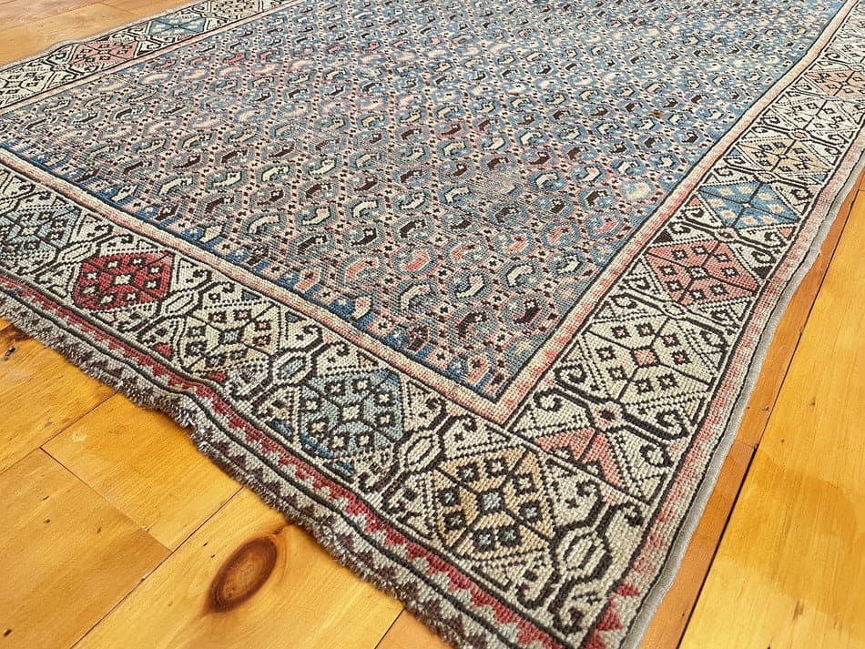 3'8" X 5'1" Rare Shirvan Boteh Rug