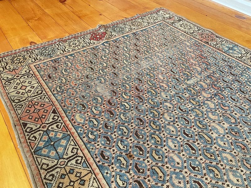 3'8" X 5'1" Rare Shirvan Boteh Rug