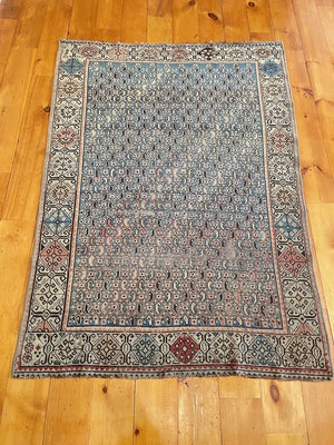3'8" X 5'1" Rare Shirvan Boteh Rug