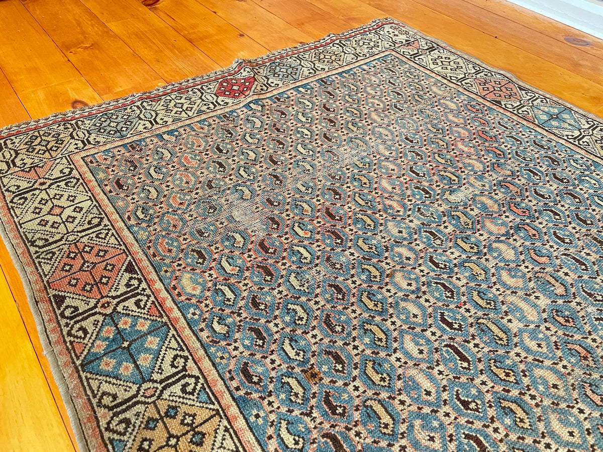 Neutral Color Rugs by The Antique Knot